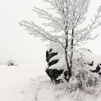 Typowy zimowy krajobraz Parku Narodowego Gór Stołowych